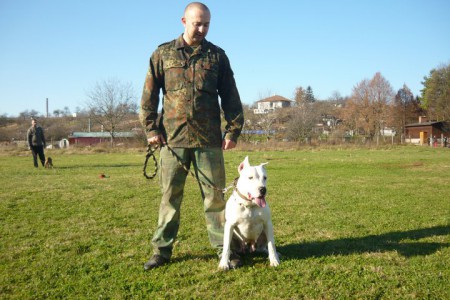 Zoltán Németh